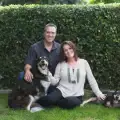 Отхвърлени кучета най-сетне намериха любящо семейство