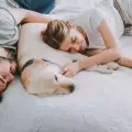 Как да отучите кучето да спи при вас