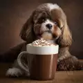 Опасно ли е кучето да пие горещ шоколад?