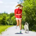 Как да научим кучето да върви до нас