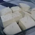 Истинско домашно козе сирене