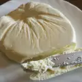 Grandma`s Recipe for Homemade Goat Cheese
