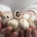 How to Peel Mushrooms?