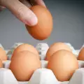 Всичко за яйцата на едно място!