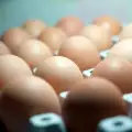 Сколько времени можно хранить яйца в холодильнике?