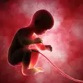 Изкуствени утроби раждат бебетата ни до 30 г