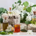 The Most Useful Essential Oils