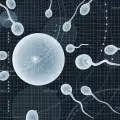 Полезните свойства на спермата