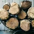 Колко кубика е 1 тон дърва?