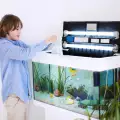 Съвети при избор на филтър за аквариума с рибки