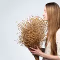 Как да стимулираме растежа на косата с ленено семе?