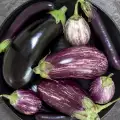 Eat Eggplants to Lose Weight and Fight Cellulite!