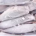 Как правилно се размразява риба