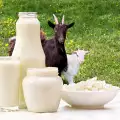 Welke melk komt het dichtst bij moedermelk?