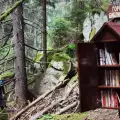 Отвори първата горска библиотека в Родопите