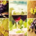 Сортове грозде за вино