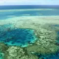 Големият бариерен риф побеля