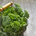 What is Kale Good for?