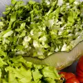 За зелените салати и зелените подправки