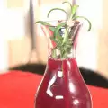 Homemade Grape and Rosemary Juice