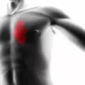 Чесънът срещу кардиомиопатия