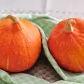 How to Store Pumpkin?