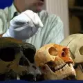 Скелети на хобити доказаха, че те не са измислени същества