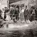 Human Zoos - a Shameful Stain in Human History