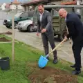 Кметът на Банско лично сади дръвчета в общината