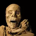 Откриха мумия в музей след 151 години