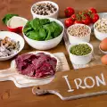 Absorption of Iron by the Body