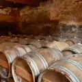 В Израел откриха най-старата винарна на 3700 години