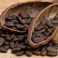 Какаото - напитката на здравето и младостта