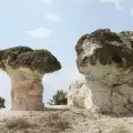 Каменните гъби