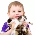 Отглеждането на котка ще предпази детето ви от астма