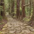 Свещените места и поклоннически пътища в планината Кии