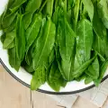 What to Cook with Sorrel?
