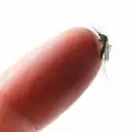 Какво ви превръща в мишена за комарите според науката