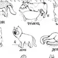 What Cat Breed Are you Based on Zodiac Sign?