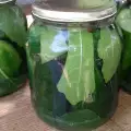No Cook Easy Pickles without Aspirin
