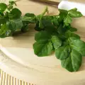 Culinary Intricacies for Cooking with Garden Cress
