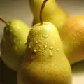 Крушите - плодът на есента