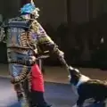 Куче се качи на оперна сцена и нападна изпълнител