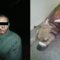 Мъж заколи кучето на съсед си и пи от кръвта му