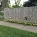 Дворни кучета получиха специална ограда, за да се виждат с приятелите си
