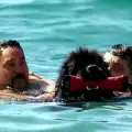 Кучета-спасители охраняват плажа на Барселона