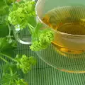 Common Lady's Mantle for Diarrhea and Gastrointestinal Problems