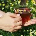 Чай от лайка за здрав дух и здраво тяло