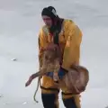 Пожарникари спасиха възрастен лабрадор от замръзнало езеро