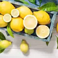 Любопитни факти за лимоните, които не знаеш